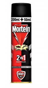 Mortein Dual All Insect Killer Spray - 250ml